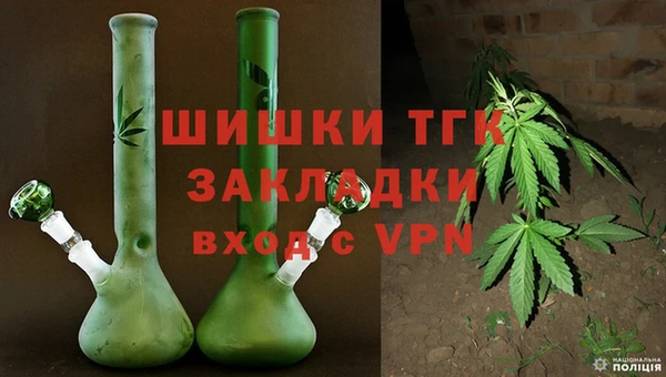 хмурый Богородицк