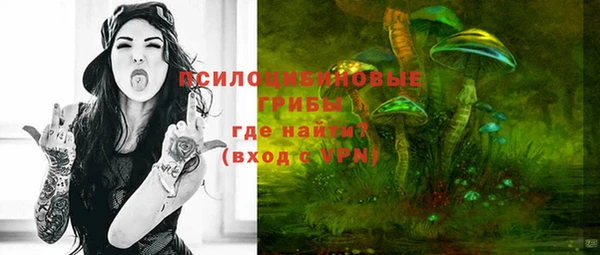 прущий лед Верея